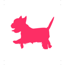 Yorki  kutya autó matrica pink  #173