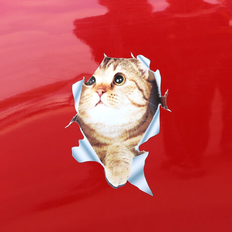 Macskás 3D autó matrica