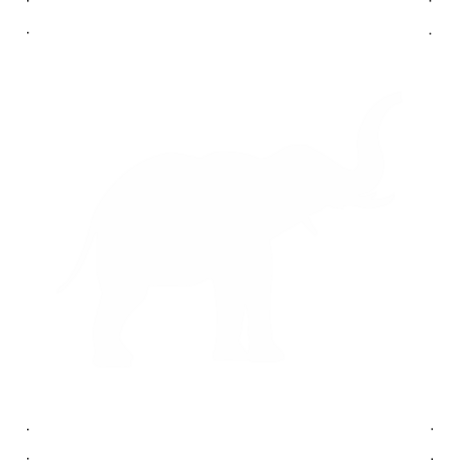 Ormányos elefánt autó matrica fehér #611