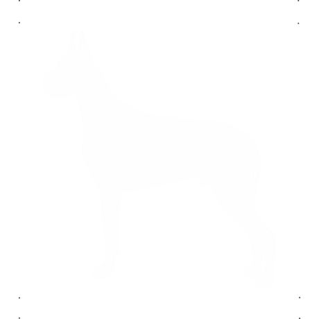 Dobermann kutya autó matrica fehér #182